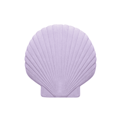 Venus Shell Jewelry Box by Dioy DEsign