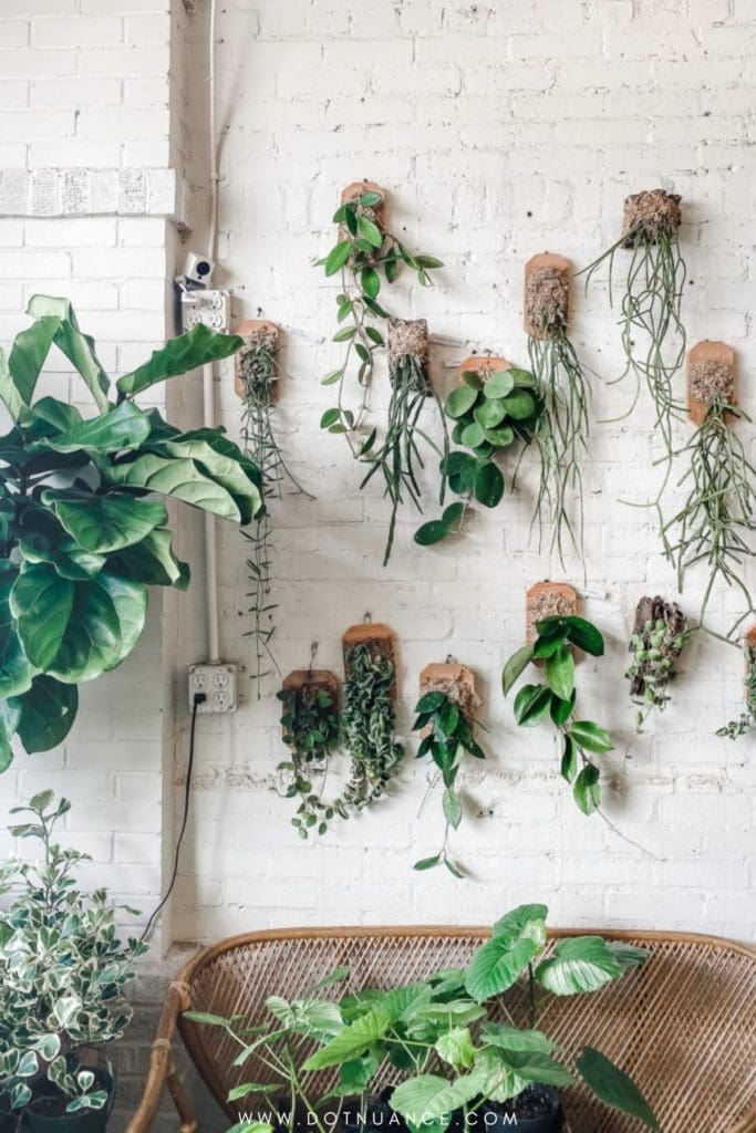 Biopholic design - wall garden