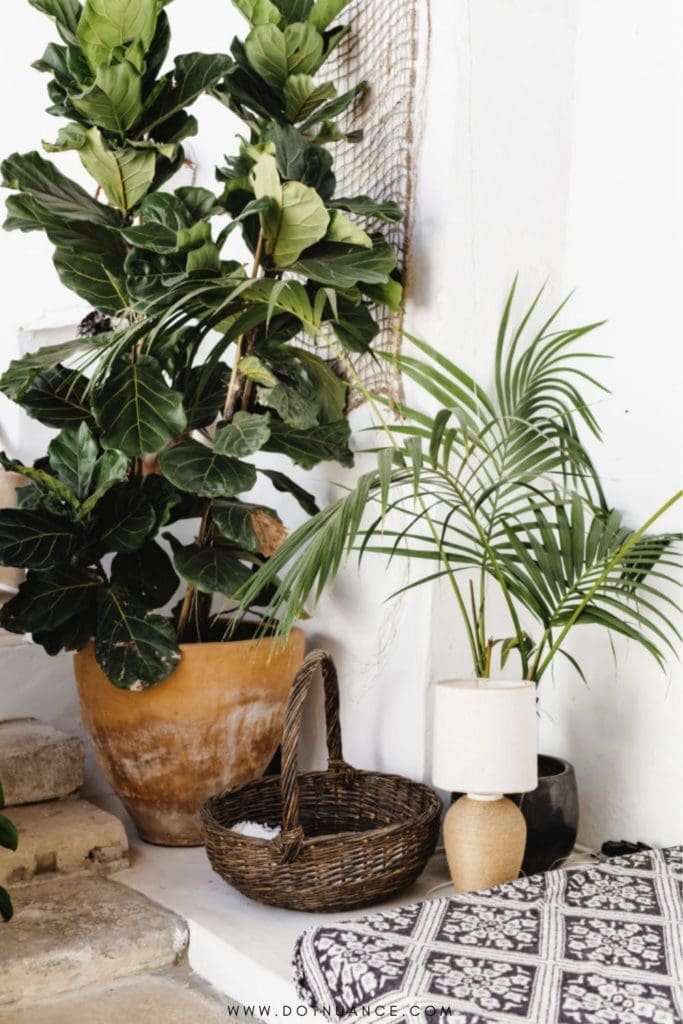 Japandi living room potted plants