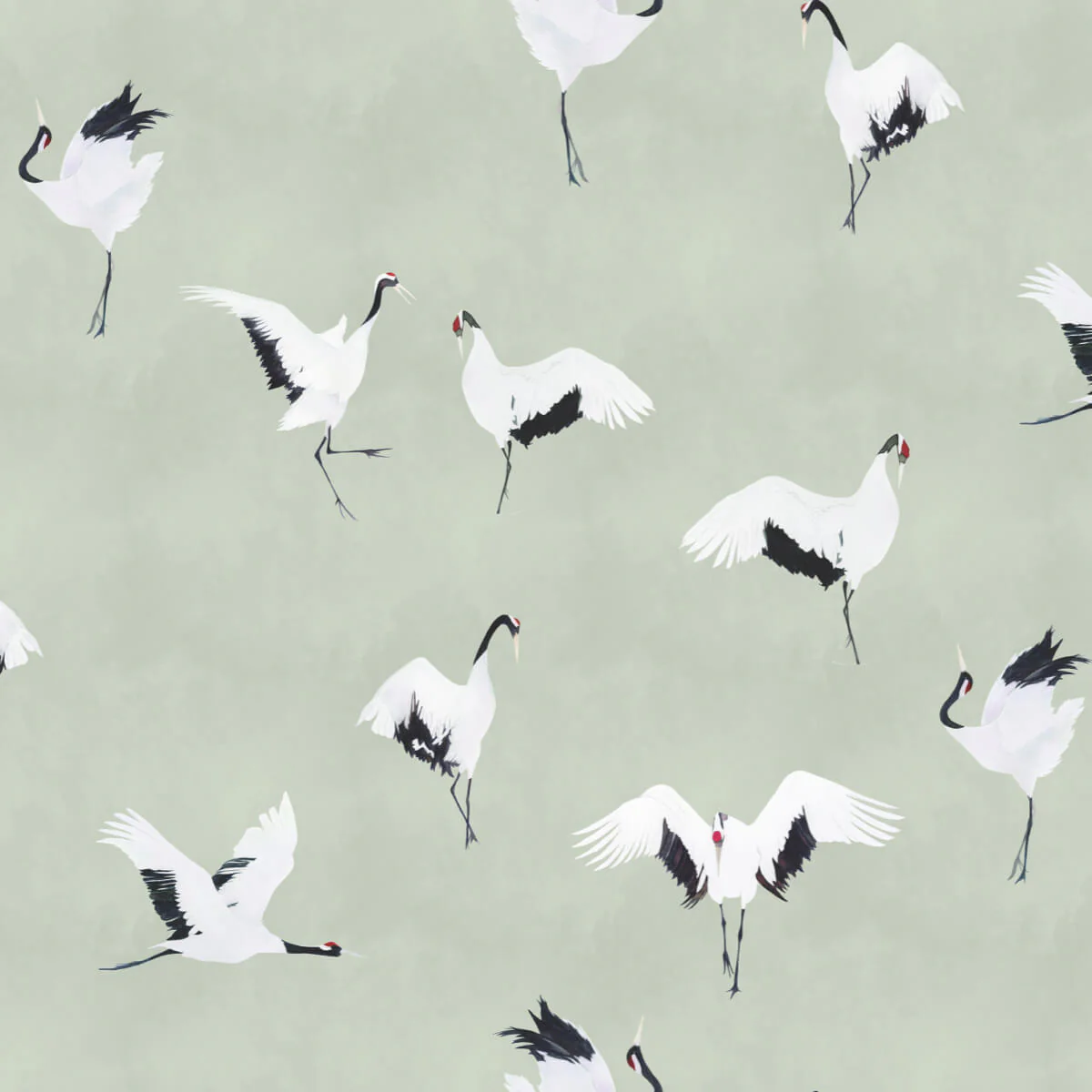 Maison C
Tancho Sage Wallpaper